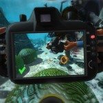 World of Diving Free Download