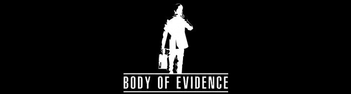3dm pc Body of Evidence crack