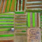 Lotniczy widok kolorowych pól uprawnych w regionie rolniczym Indonezji