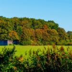 Jak ustawić kontrast i nasycenie, by trawa nie świeciła neonem Drewniana stodoła wśród kolorowych jesiennych drzew i pól