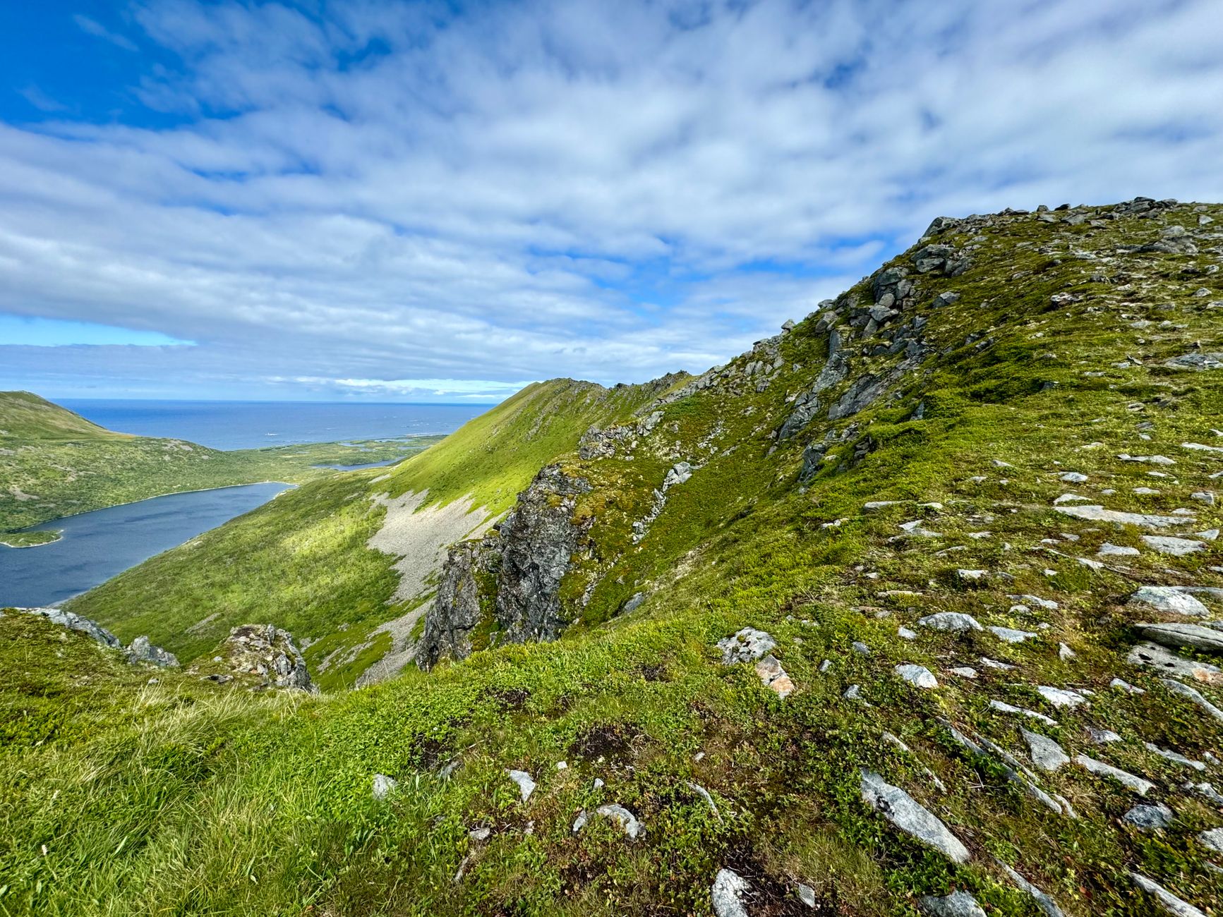 Skaliste wzgórza i zieleń nad norweskim wybrzeżem w Jotunheimen